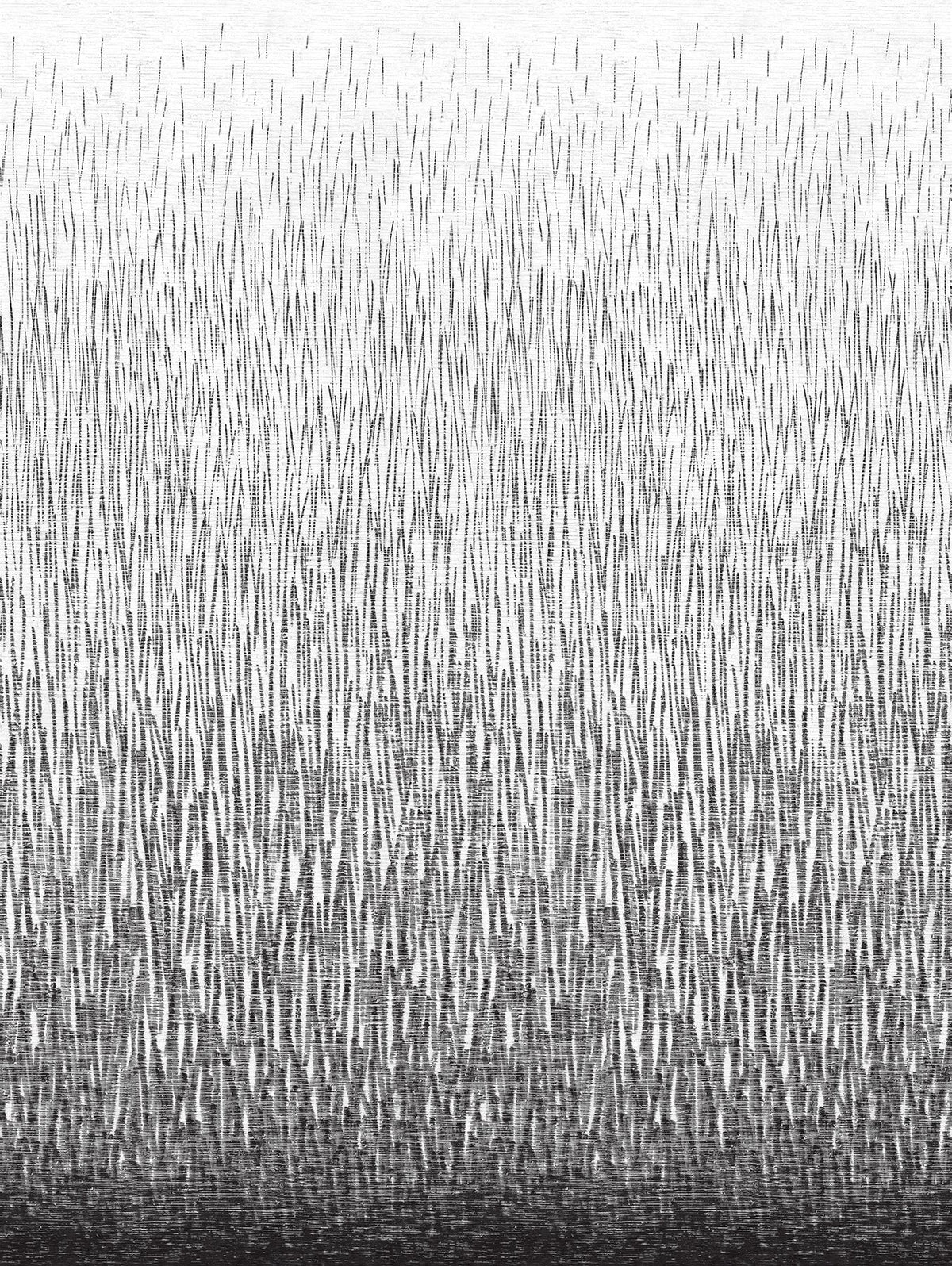 2764-24363-peel-and-stick-wall-mural-main-product-image
