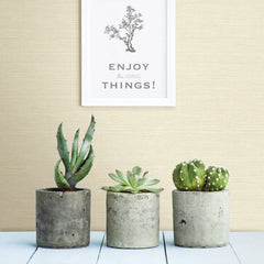2901-24280-peel-and-stick-wallpaper-room-scene