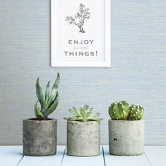 2901-24283-peel-and-stick-wallpaper-room-scene