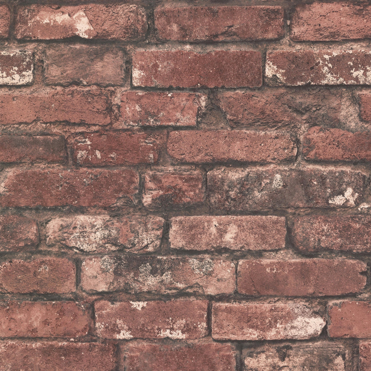 2922-21258-peel-and-stick-wallpaper-main-product-image
