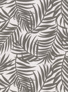 The Lanai Fronds Wallpaper by York Wallcoverings features a seamless pattern of overlapping palm leaves in gray on a white background, creating a tropical, botanical design with hand-drawn, linear detailing.