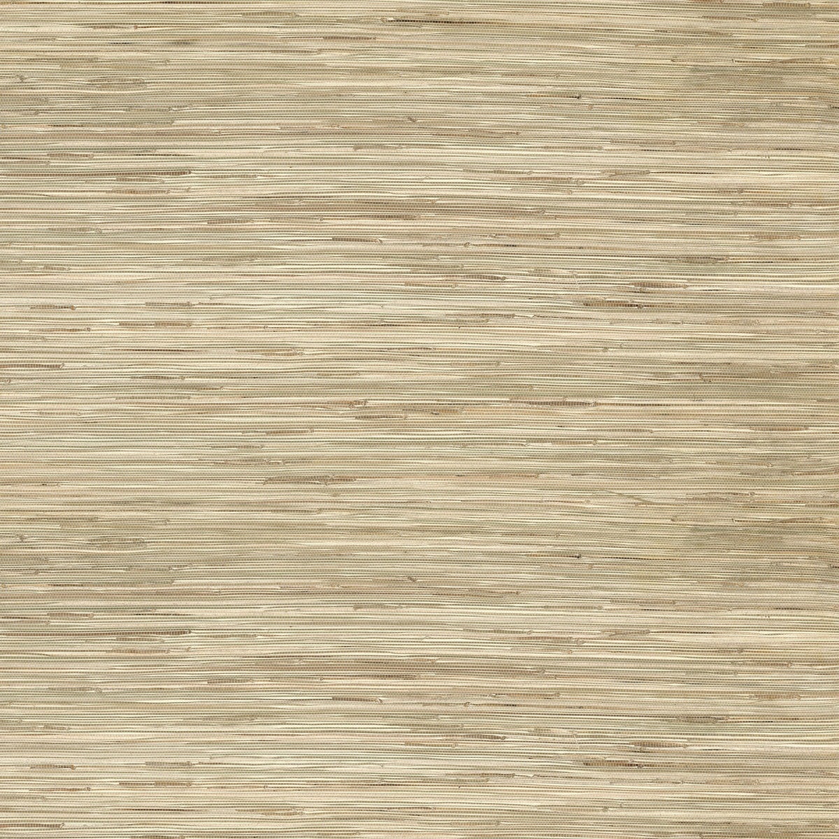 2972-65621-peel-and-stick-wallpaper-main-product-image