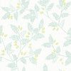 The Ardell Botanical Wallpaper by York Wallcoverings showcases a light green and yellow botanical pattern with delicate leafy branches and small clusters of berries set against a white background.