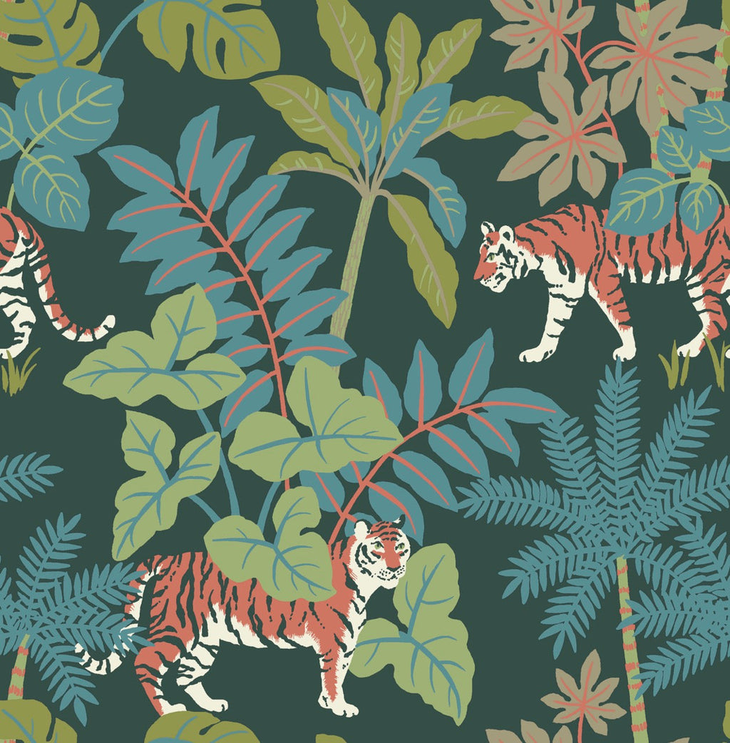 Animals & Insects