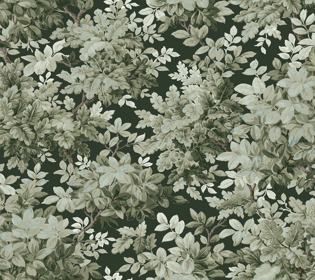 Botanical