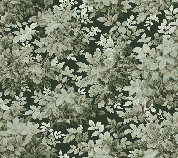 Botanical