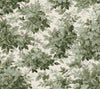 4147-80006-peel-and-stick-wallpaper-main-product-image