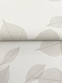 Myles Leaves Wallpaper features an off-white background with a pattern of delicate, beige leaf skeletons.