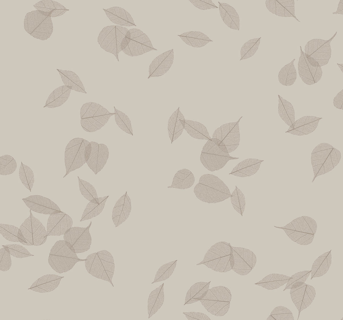 Myles Leaves Wallpaper features a pattern of delicate, scattered leaf skeletons on a solid light background.
