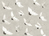 Dove Grey