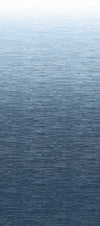 ASTM5046-peel-and-stick-wall-mural-main-product-image