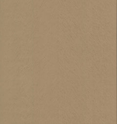 Featuring the Etched Chevron Wallpaper by York Wallcoverings, this design showcases a light brown wooden effect with subtle diagonal grain patterns and a faint vertical seam, creating a natural, textured appearance.