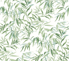 Introducing the Willow Grove Wallpaper by York Wallcoverings, featuring a seamless pattern of green leafy branches with delicate, watercolor-style leaves set against a crisp white background. This light, airy design is beautifully nature-inspired, perfect for creating a serene atmosphere in any space.