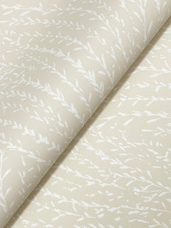 Willow Song Botanical Wallpaper by York Wallcoverings features a beige background adorned with a delicate white botanical pattern of slender branches and leaves, presented as a rolled sheet with a smooth, matte finish.