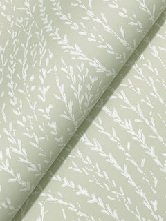 Willow Song Botanical Wallpaper by York Wallcoverings features a pale green background adorned with a delicate white botanical pattern of thin branches and leaves, arranged diagonally across the surface.