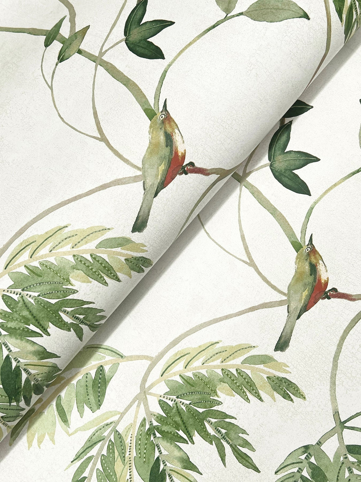 Introducing the Cillian Botanical Bird Trail Wallpaper by York Wallcoverings, a watercolor-style design featuring green birds perched on leafy branches with soft green leaves and vines set against a light background.