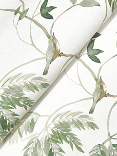 The Cillian Botanical Bird Trail Wallpaper by York Wallcoverings features a soft, watercolor-style design with green leafy vines and two small birds perched on branches against a white background, creating a gentle, nature-inspired look.