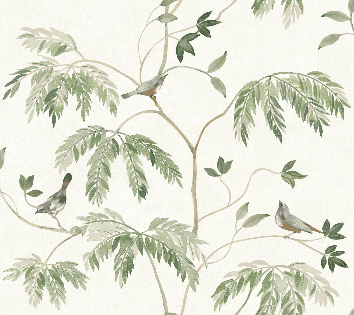 Cillian Botanical Bird Trail Wallpaper by York Wallcoverings features a charming illustrated pattern of green leafy branches adorned with three small birds nestled among the foliage, all set against a light cream background.
