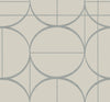 Taupe/Silver