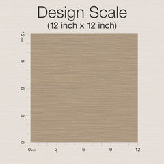 A tan square textured sample of Cannete Wallpaper by York Wallcoverings is shown with rulers along the top and left sides, marked from 0 to 12 inches. Text above reads: Design Scale (12 inch x 12 inch).