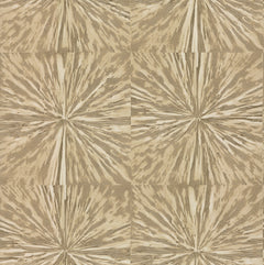 Squareburst Wallpaper by York Wallcoverings features a beige and brown abstract geometric design, with radial starburst lines forming symmetrical squares arranged in a grid.