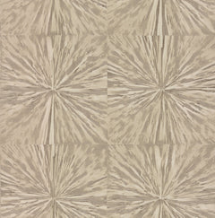 Squareburst Wallpaper by York Wallcoverings features a beige and brown abstract pattern with radial lines forming starburst shapes, arranged in a seamless grid. The organic texture resembles wood grain or marbled paper.