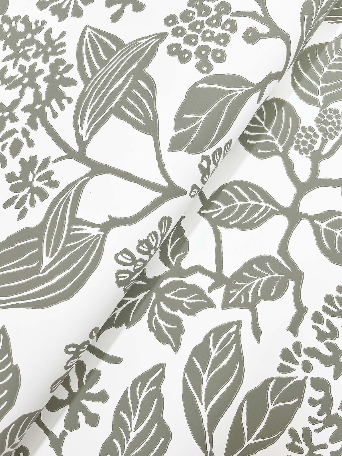 Rowen Botanical Wallpaper by York Wallcoverings showcases a hand-drawn botanical pattern in gray on a white background, featuring an elegant array of leaves, branches, and flowers. The wallpaper is slightly folded in the image, revealing a subtle diagonal crease across its surface.