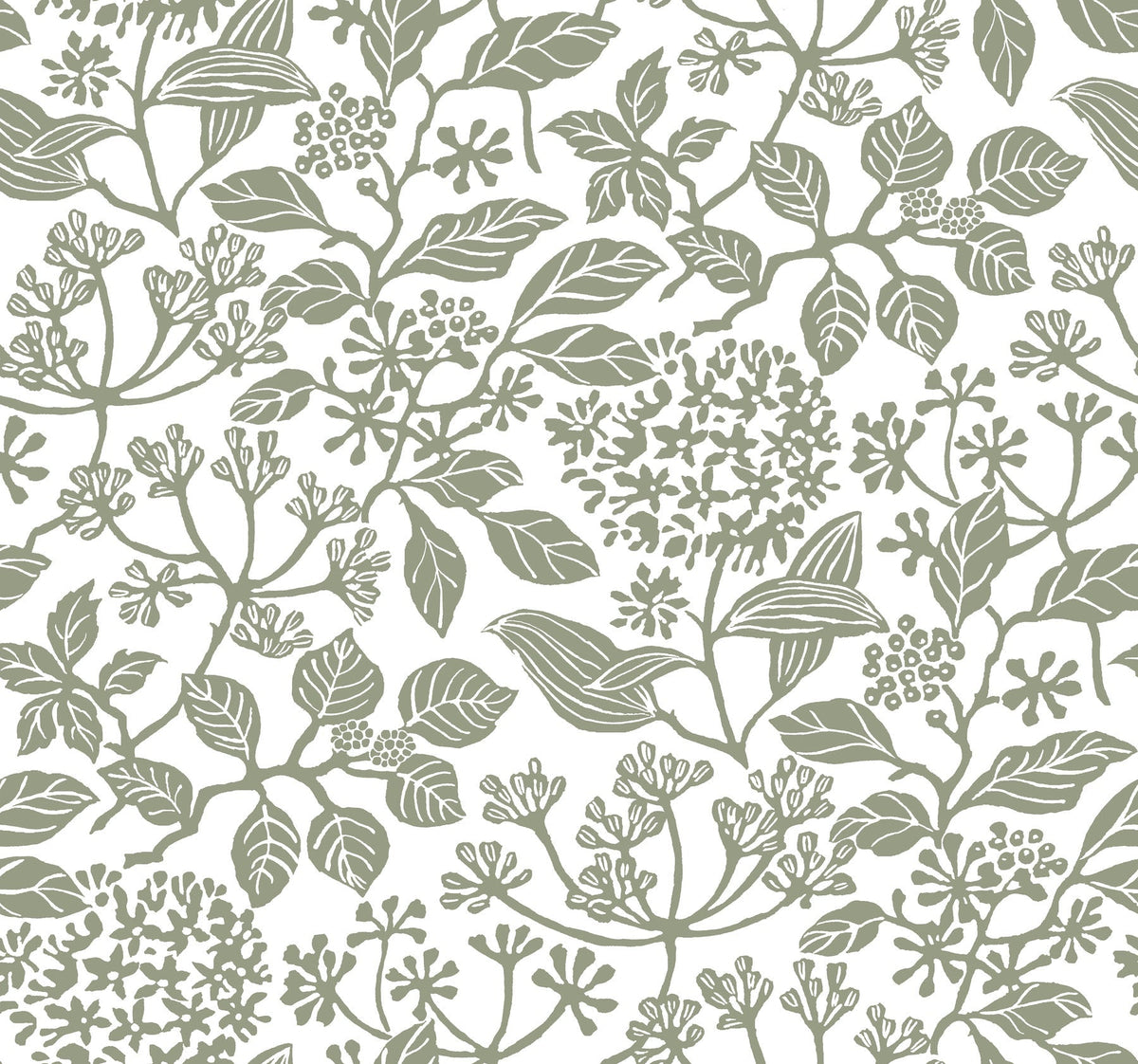 Rowen Botanical Wallpaper by York Wallcoverings showcases an intricate and detailed seamless pattern of green botanical illustrations with various leaves, flowers, and berries on a white background, creating a natural, vintage-inspired look.